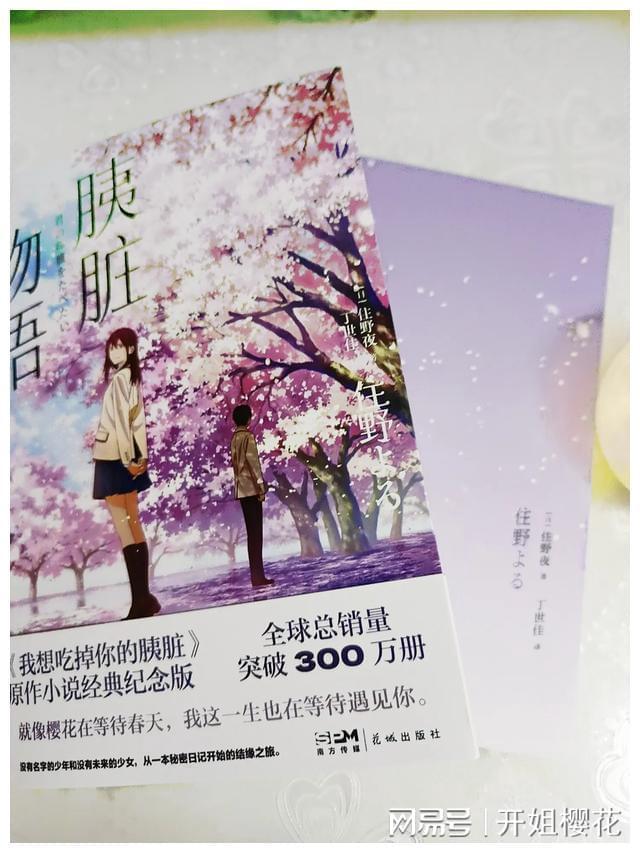 熊仔之熊猫大侠修行路