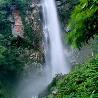 虫虫助手下载
